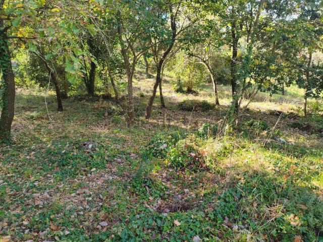 Terreno en venta en la Canyera, Gironès