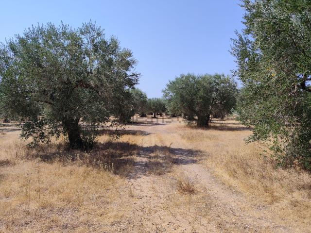 Terreno en venta en Armeres, Llers