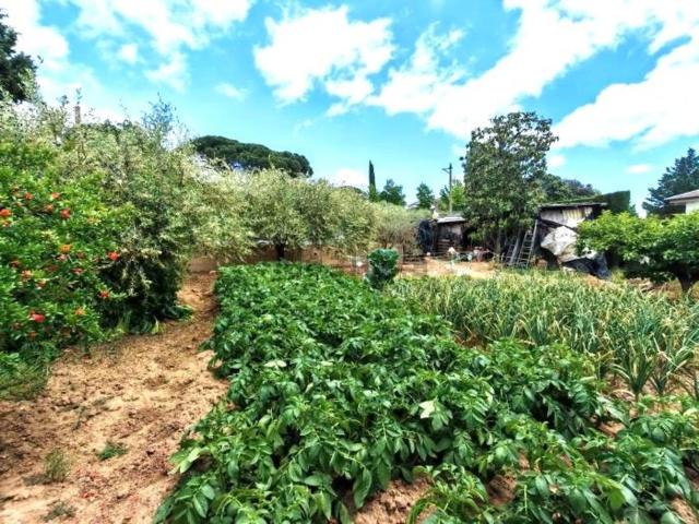 Terreno en venta en Vallès Oriental, Catalunya