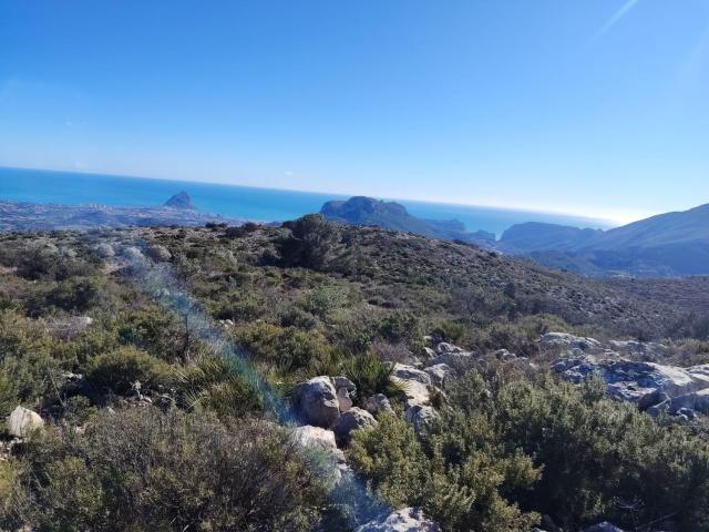 Terreno en venta en la Marina Alta, Valencia