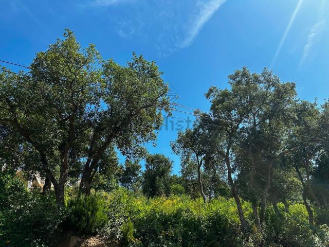 Terreno en venta en Lloret Blau, la Selva