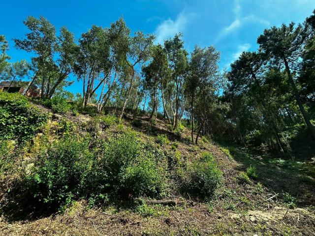 Terreno en venta en Lloret Blau, la Selva