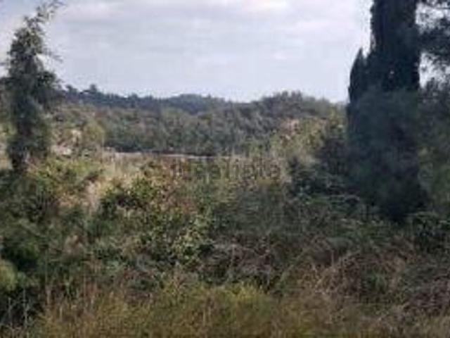 Terreno en venta en Lloret Blau, la Selva