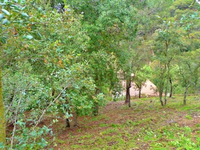 Terreno en venta en Canyelles, la Selva