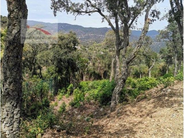 Terreno en venta en Serra Brava, la Selva