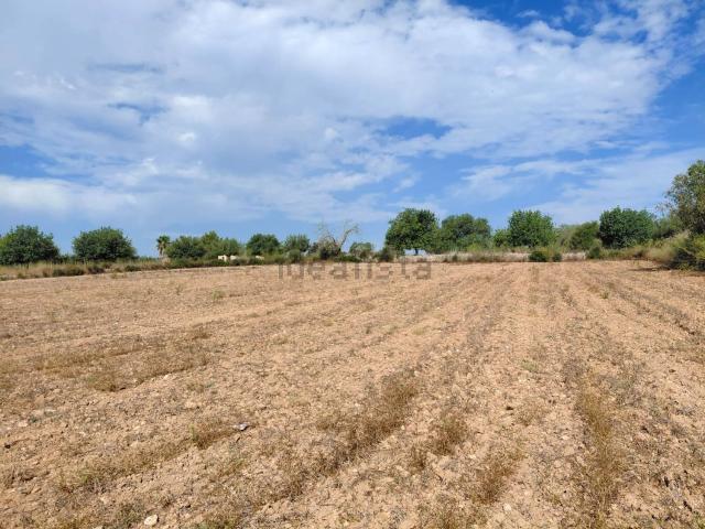 Terreno en venta en Pla de Mallorca, Baleares