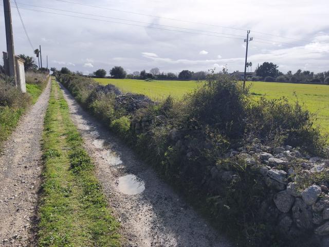 Terreno en venta en Pla de Mallorca, Baleares