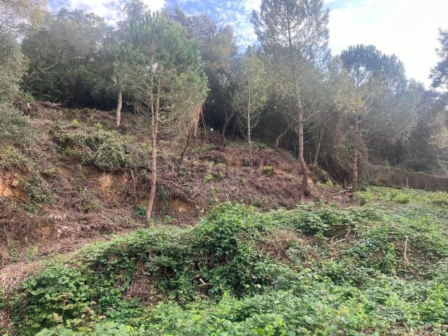 Terreno en venta en Lloret Residencial, la Selva