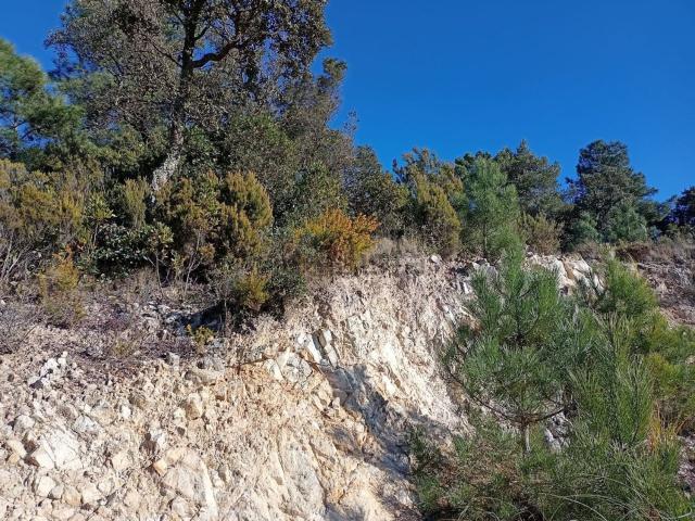 Terreno en venta en Lloret Residencial, Lloret de Mar