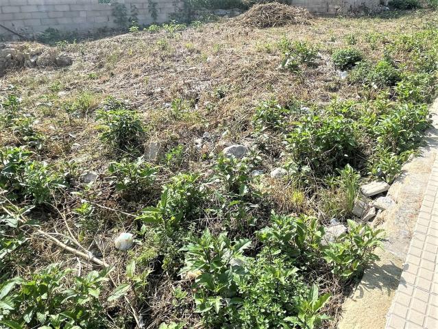 Terreno en venta en Raiguer, Baleares