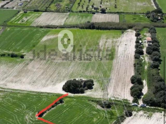 Terreno en venta en Pla de Mallorca, Baleares