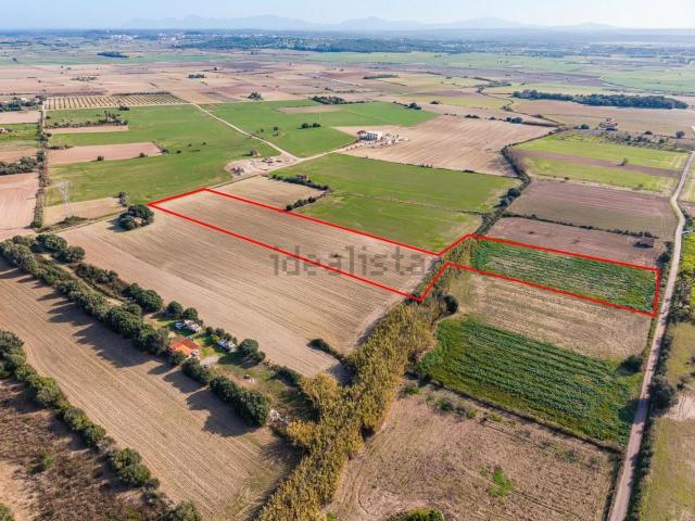 Terreno en venta en Pla de Mallorca, Baleares