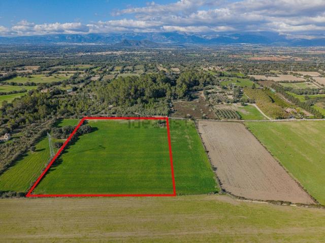 Terreno en venta en Pla de Mallorca, Baleares