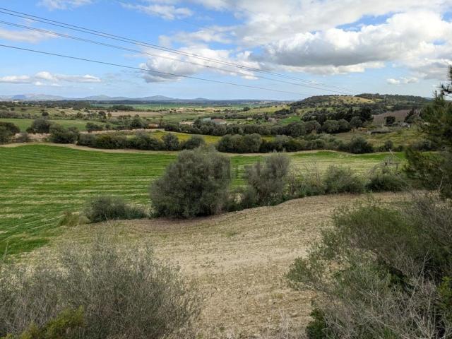 Terreno en venta en Pla de Mallorca, Baleares