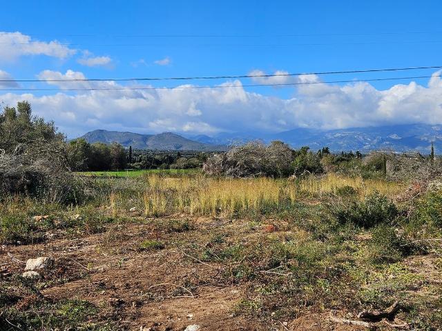Terreno en venta en Pla de Mallorca, Baleares