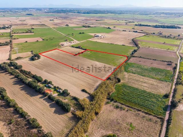 Terreno en venta en Pla de Mallorca, Baleares