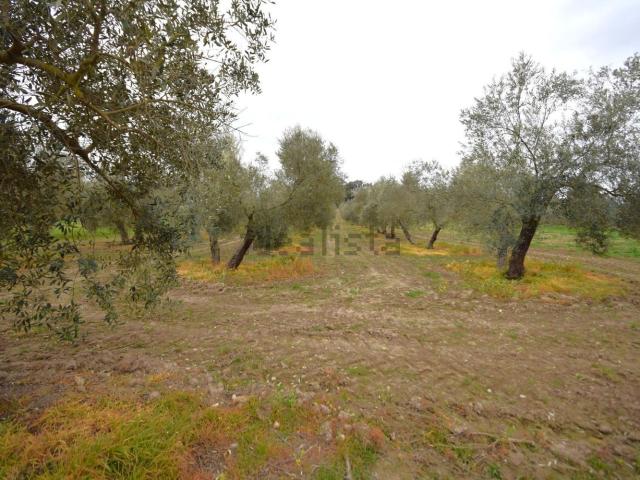 Terreno en venta en Pla de Mallorca, Baleares
