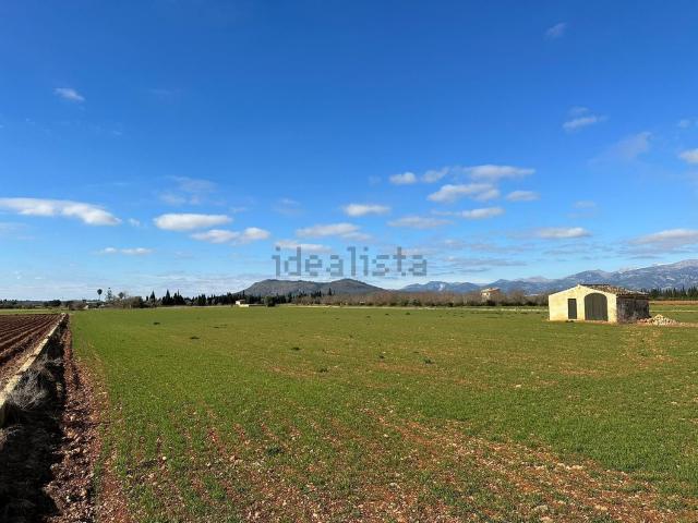Terreno en venta en Raiguer, Baleares