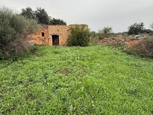 Terreno en venta en Pla de Mallorca, Baleares