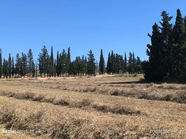 Terreno en venta en Raiguer, Baleares