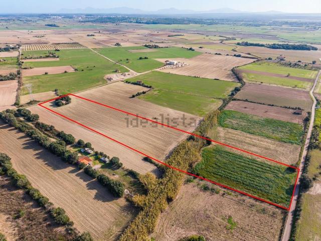 Terreno en venta en Pla de Mallorca, Baleares