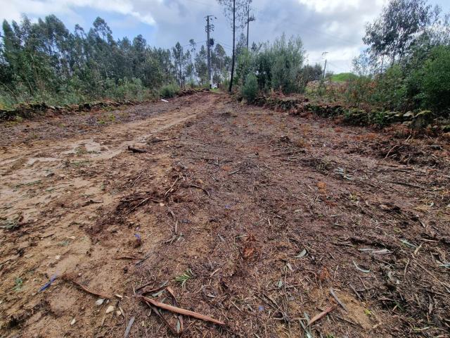 Terreno venda em Teixugueira, Santa Maria Da Feira