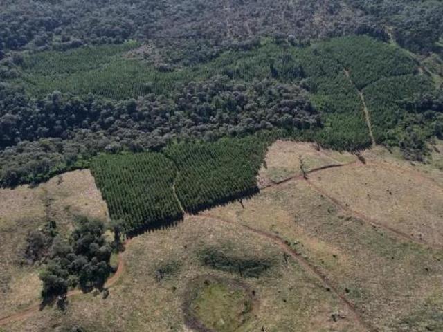 Terreno venda em Centro, Arapoti