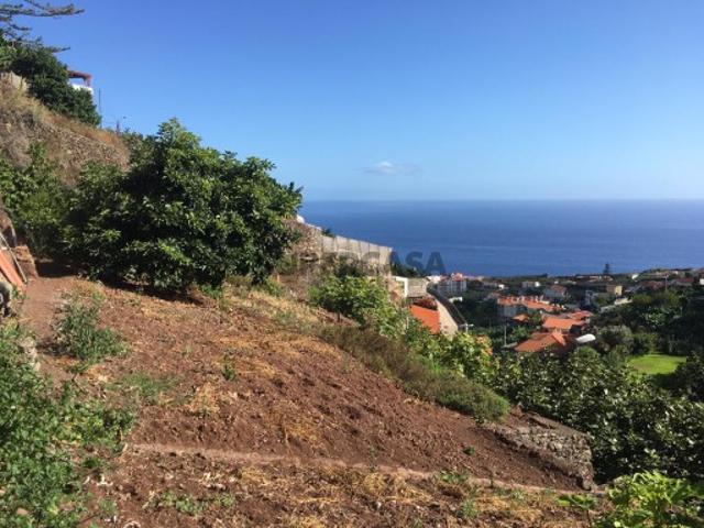 Terreno venda em Câmara De Lobos, Terra Chã Terreno venda em Câmara De Lobos, Terra Chã