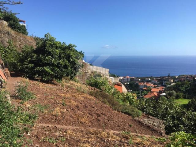 Terreno venda em Câmara De Lobos, Ilha Da Madeira