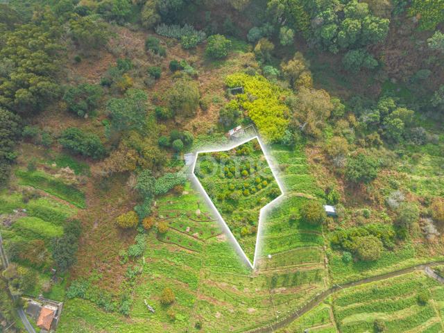 Terreno venda em Santa Cruz