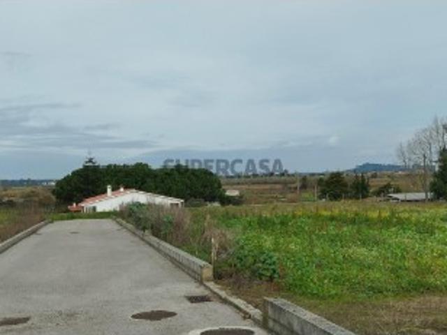 Terreno venda em Leiria