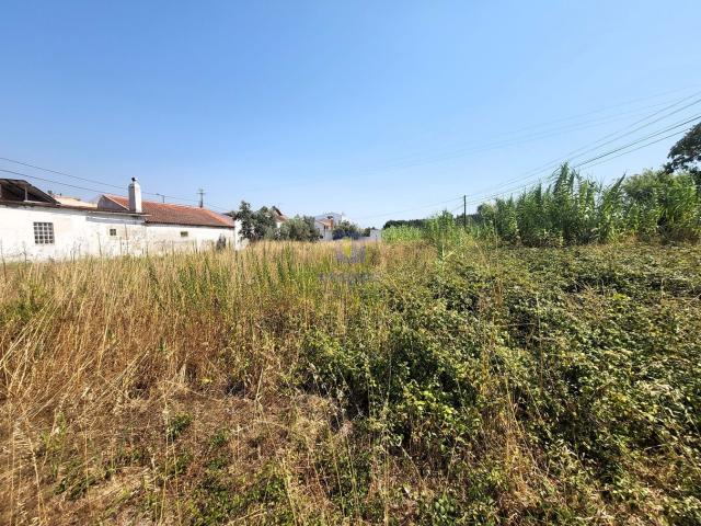 Terreno venda em Azambuja, Lisboa