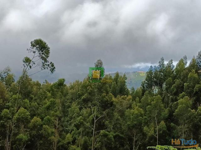 Terreno venda em Santa Cruz, Ilha Da Madeira