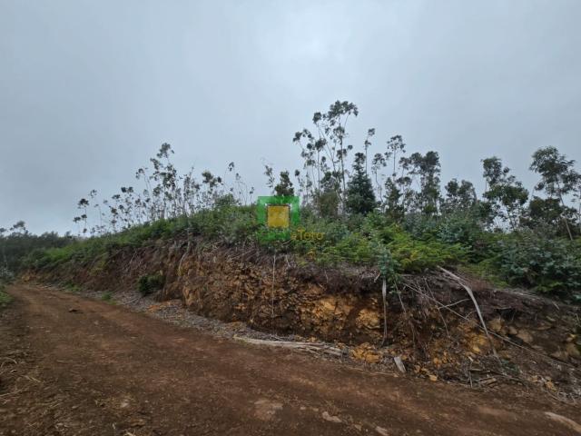 Terreno venda em Santa Cruz, Ilha Da Madeira