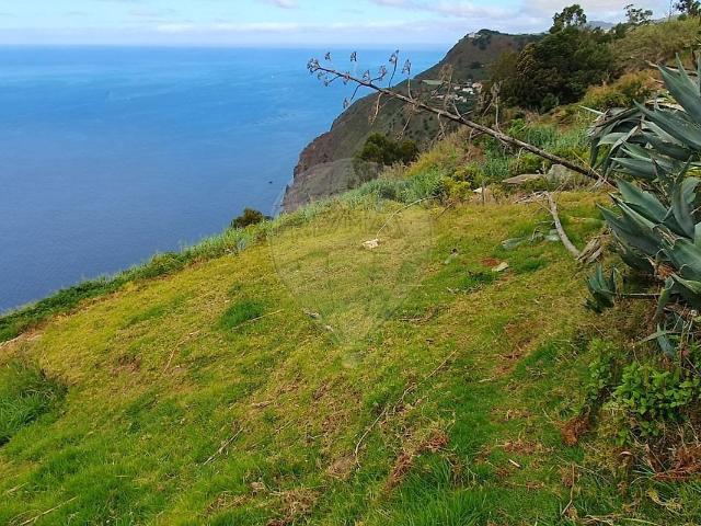Apartamento venda em Ponta Do Sol, Ilha Da Madeira