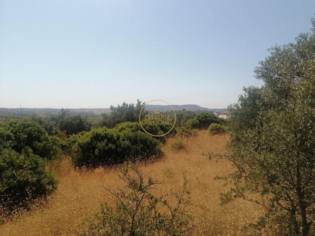Terreno venda em Paixanito, Loulé