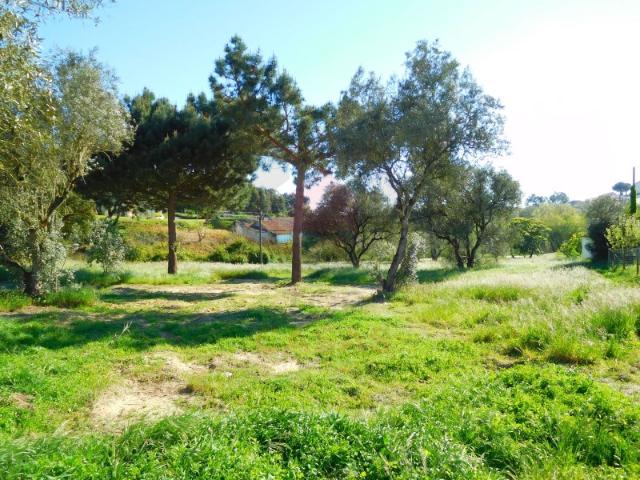 Terreno venda em Caldas Da Rainha, Leiria