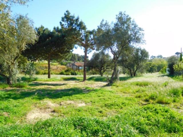 Terreno venda em Caldas Da Rainha, Leiria