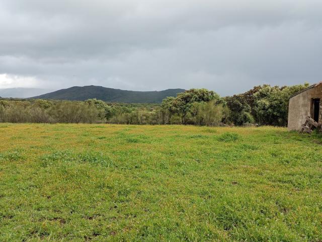 Terreno en venta en Logrosán, Extremadura