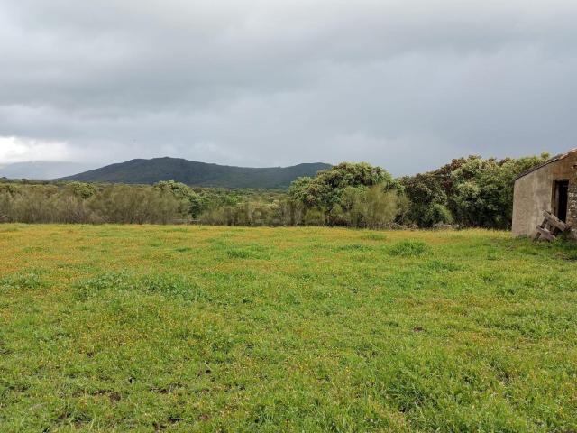 Terreno en venta en Logrosán, Cáceres