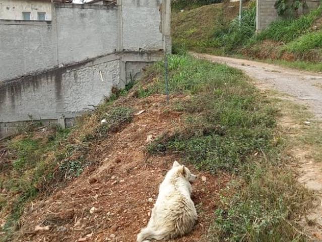 Terreno en venta en Francisco Linares Alcántara, Miranda