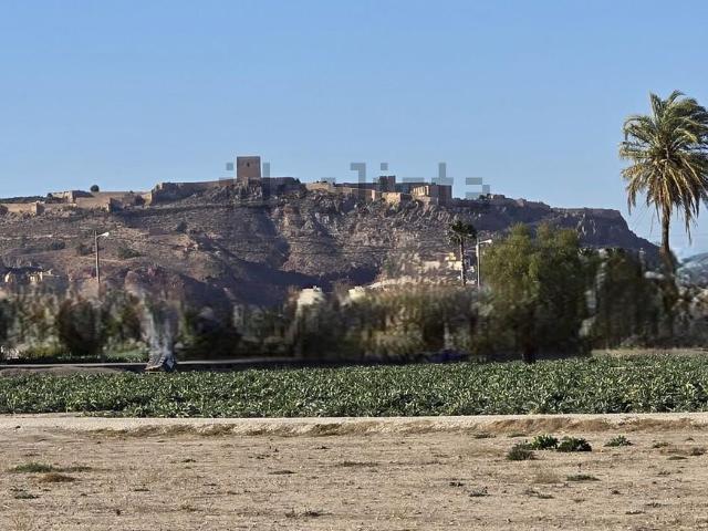 Terreno en venta en Tiata-La Granja, Alto Guadalentín