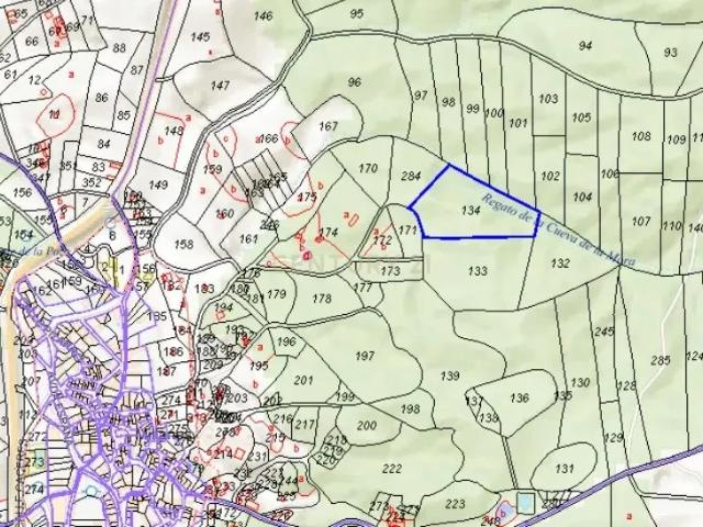 Terreno en venta en Millanes, Extremadura