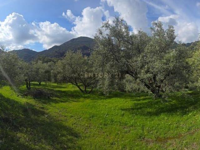 Terreno en venta en Comarca de la Costa Granadina, Andalucía