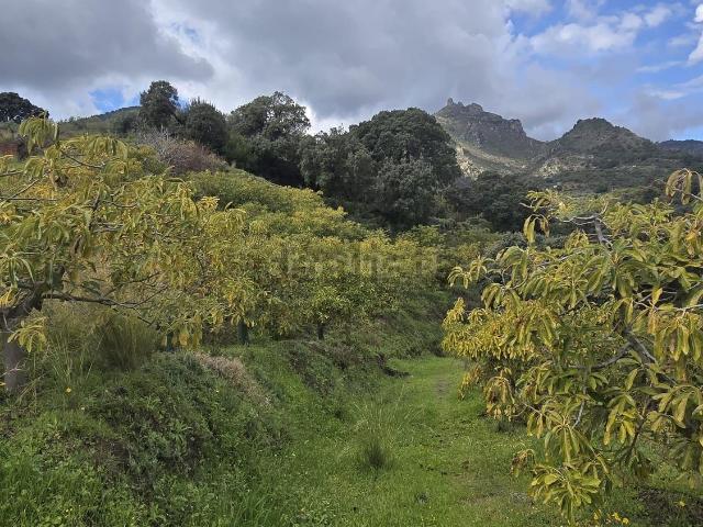 Terreno en venta en Comarca de la Costa Granadina, Andalucía