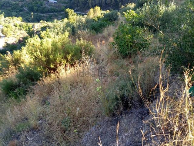 Terreno en venta en Comarca de la Costa Granadina, Andalucía