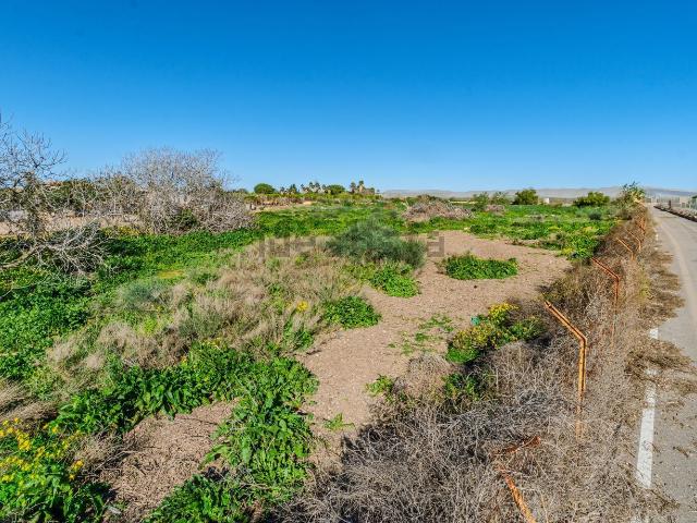 Terreno en venta en Los Pérez, el Baix Segura / La Vega Baja