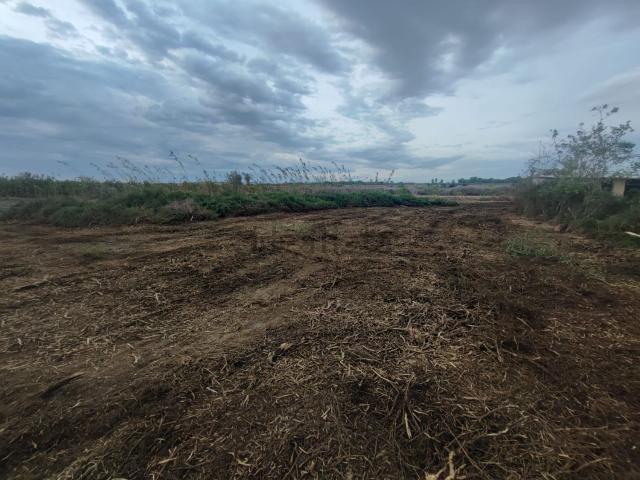 Terreno en venta en el Baix Segura / La Vega Baja, Valencia