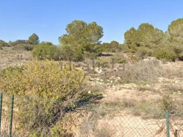 Terreno en venta en el Baix Segura / La Vega Baja, Valencia