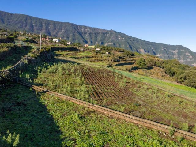 Terreno en venta en Realejo Alto, Los Realejos